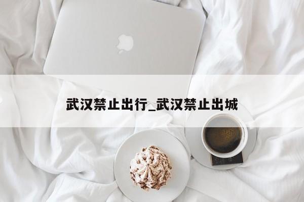 武汉禁止出行_武汉禁止出城