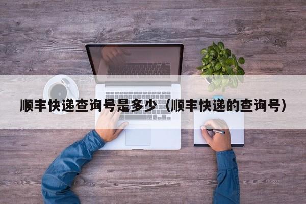 顺丰快递查询号是多少（顺丰快递的查询号）