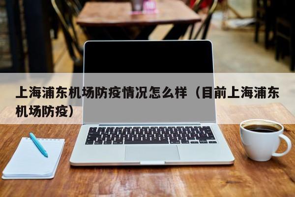 上海浦东机场防疫情况怎么样（目前上海浦东机场防疫）