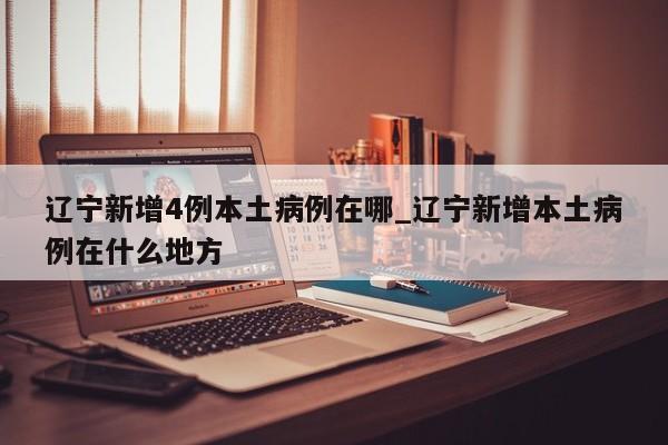 辽宁新增4例本土病例在哪_辽宁新增本土病例在什么地方