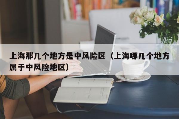 上海那几个地方是中风险区（上海哪几个地方属于中风险地区）