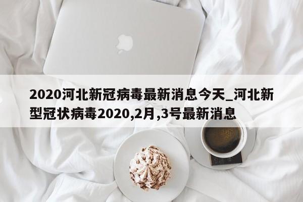 2020河北新冠病毒最新消息今天_河北新型冠状病毒2020,2月,3号最新消息