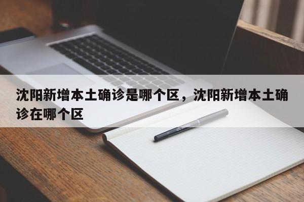 沈阳新增本土确诊是哪个区，沈阳新增本土确诊在哪个区