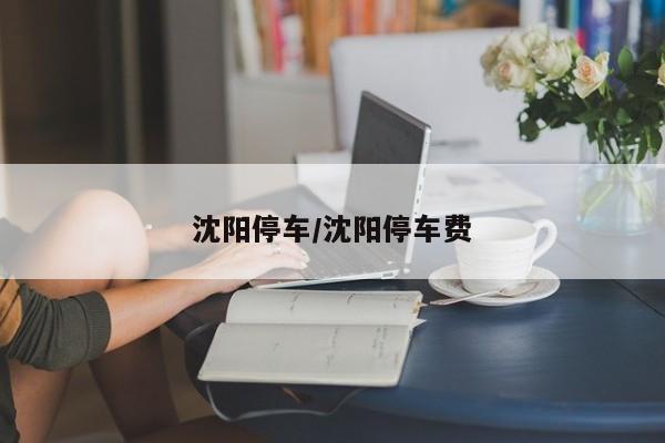 沈阳停车/沈阳停车费